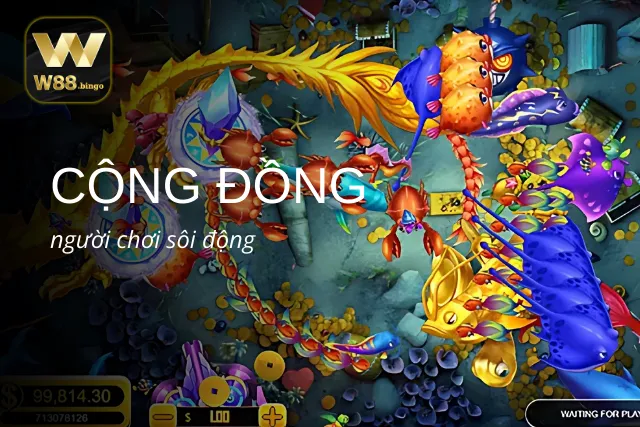 Cộng đồng game thủ bắn cá tại sảnh